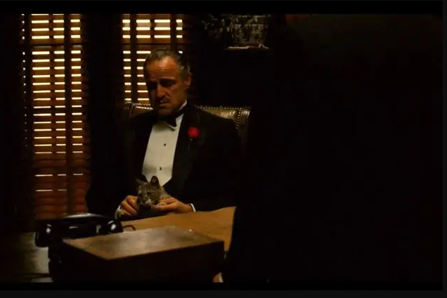 1744354296831552.jpg 1744354260814.jpg